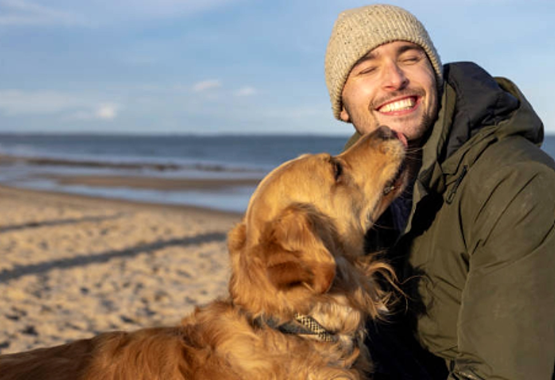 Tom und Hund am Strand