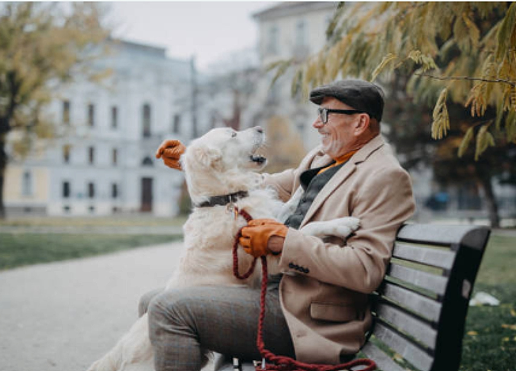 Peter mit Hund auf einer Bank
