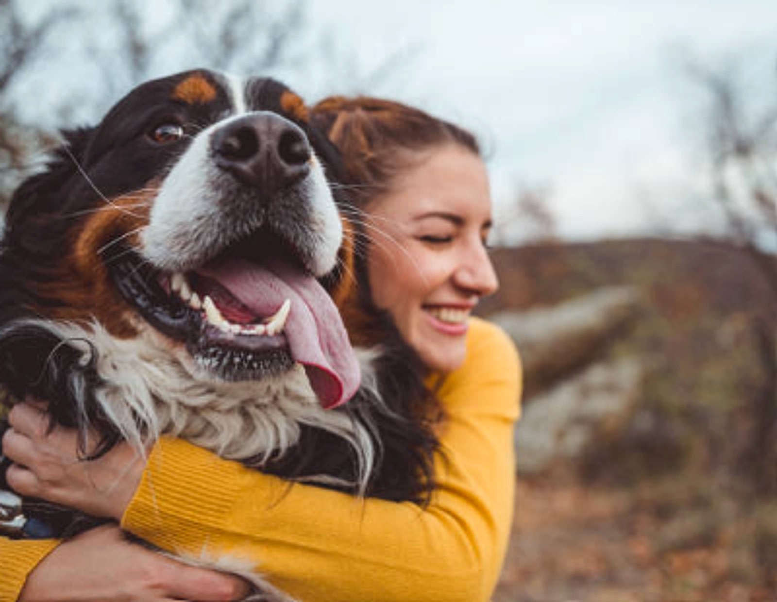 Anna umarmt Berner Sennenhund